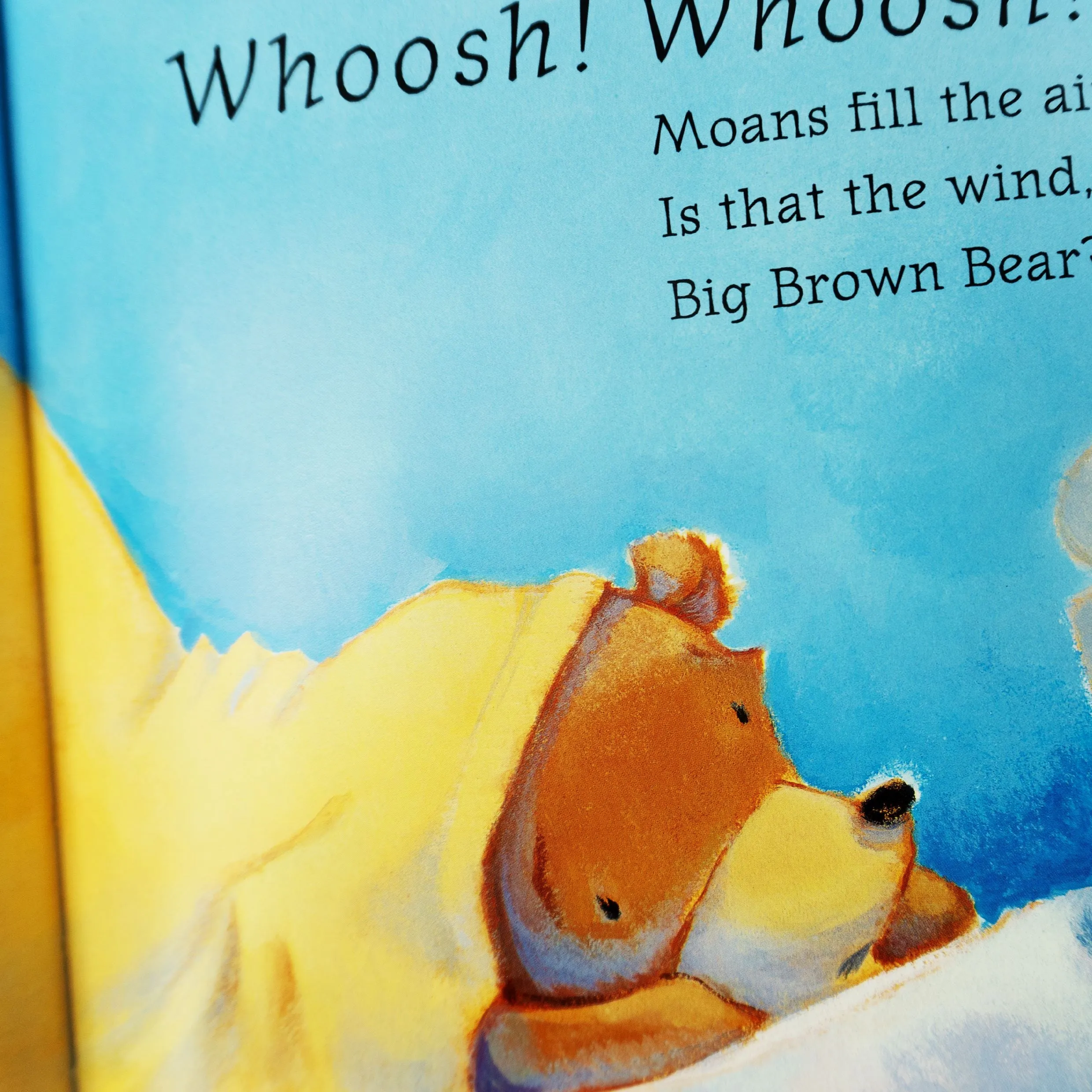 Bears by Shirley Parenteau Collection 5 Books Set - Ages 2  - Paperback
