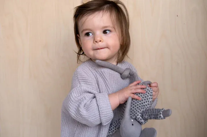 Elephant Ragdoll