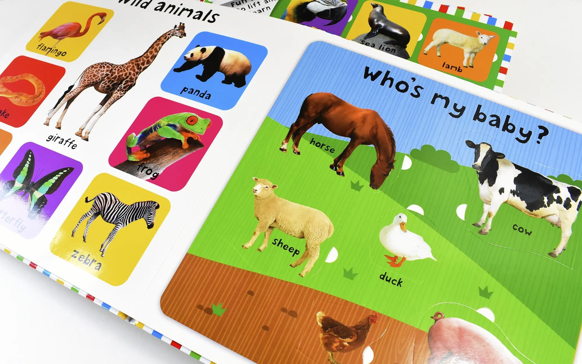 First 100 Lift The Flap Series Collection 4 Board Books Set For little learners- Ages 0-5 - Board books
