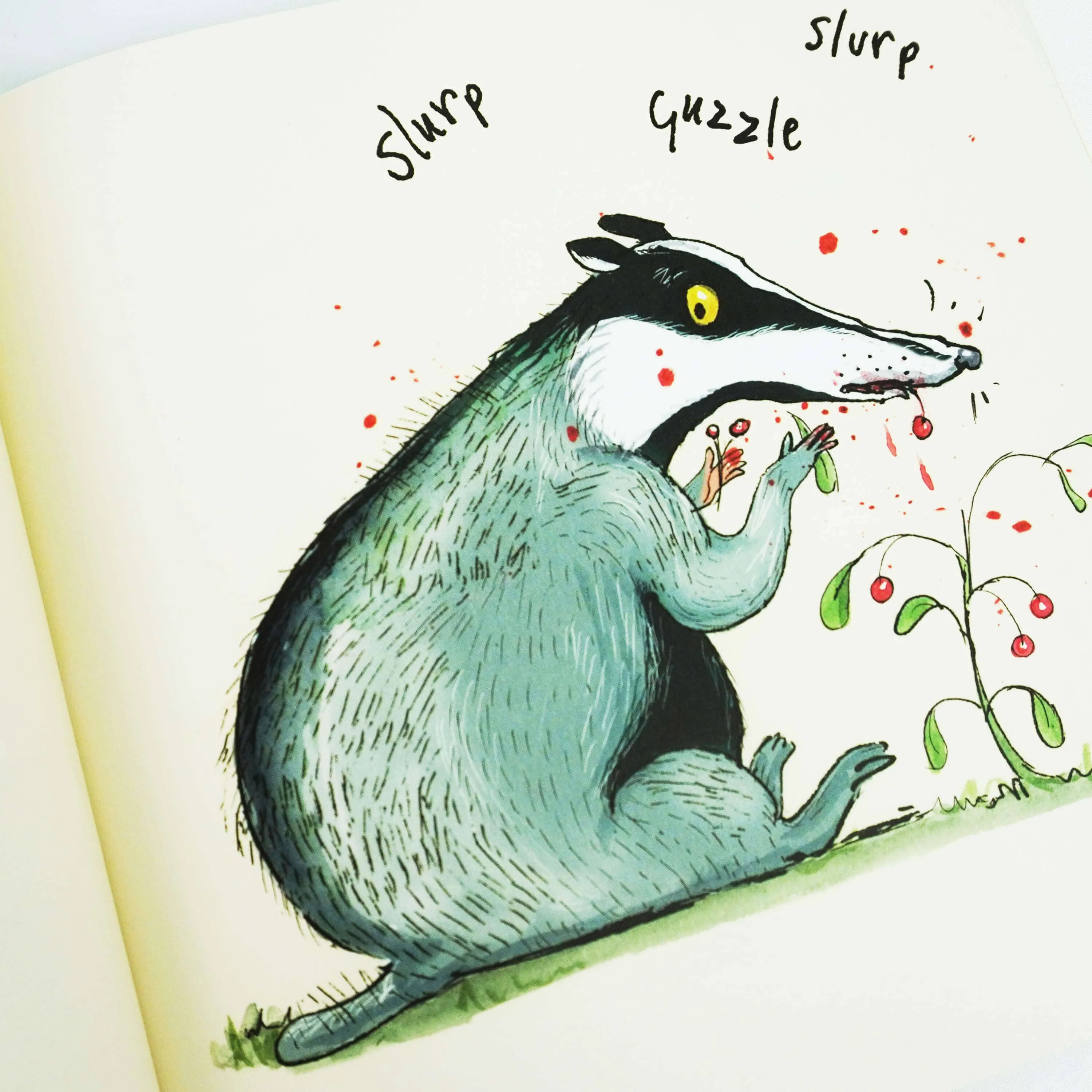 Hedgehog & Friends by Eoin McLaughlin & Polly Dunbar 3 Books Collection Set - Ages 2-8 - Paperback