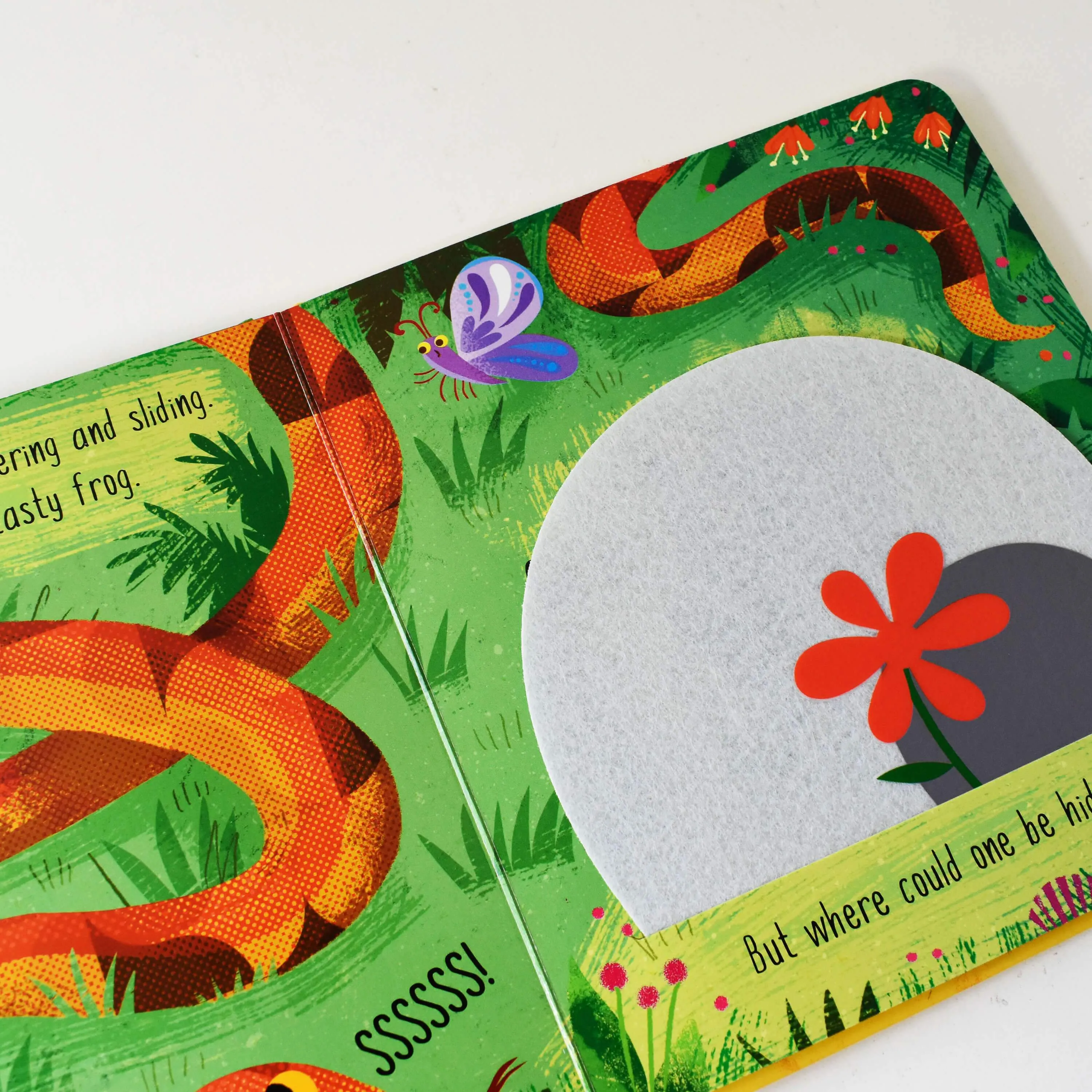 Hide and Seek Touch & Feel Lift the Flap 5 Books Collection Box Set by Little Tiger - Ages 0-5 - Hardback