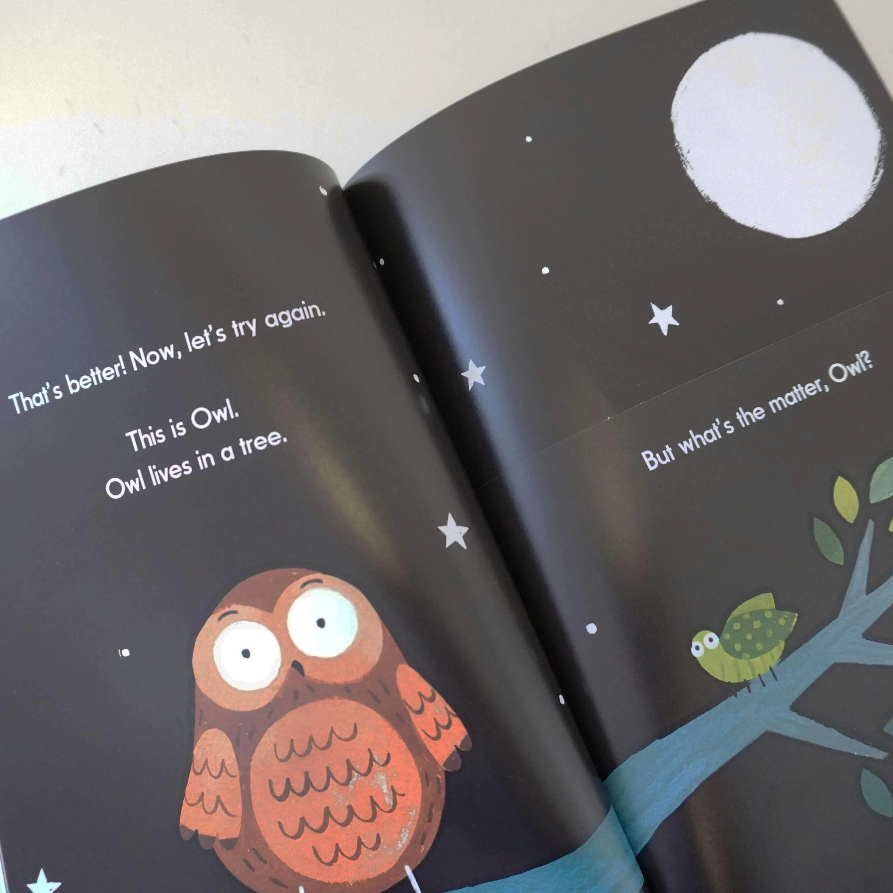 Jacqi Lee 3 Books Collection Set (This Is Crab, This Is Frog & This is Owl) - Ages 0-5 - Paperback