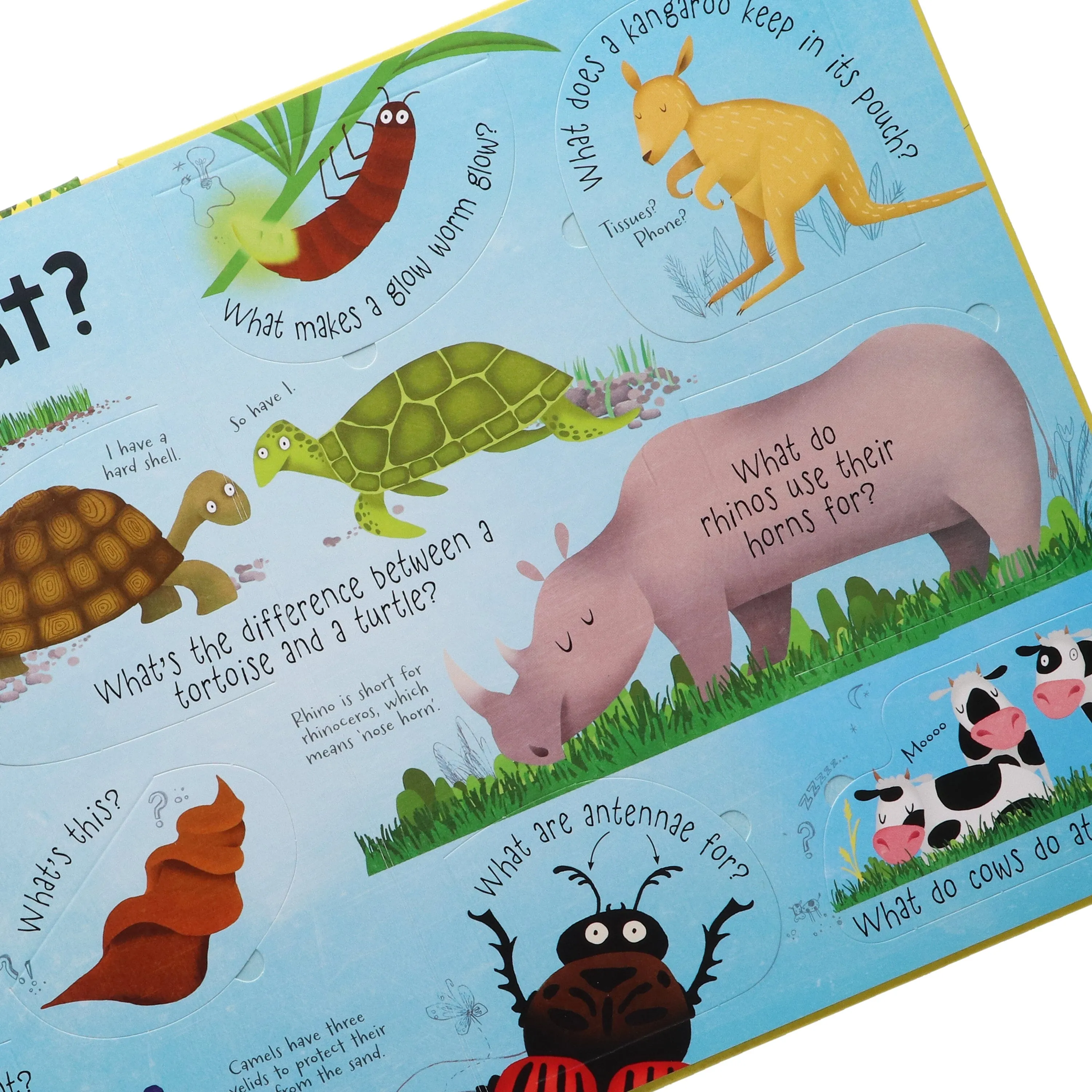 Lift-the-flap Questions and Answers by Katie Daynes 5 Books Box Set - Ages 0-5 - Hardback