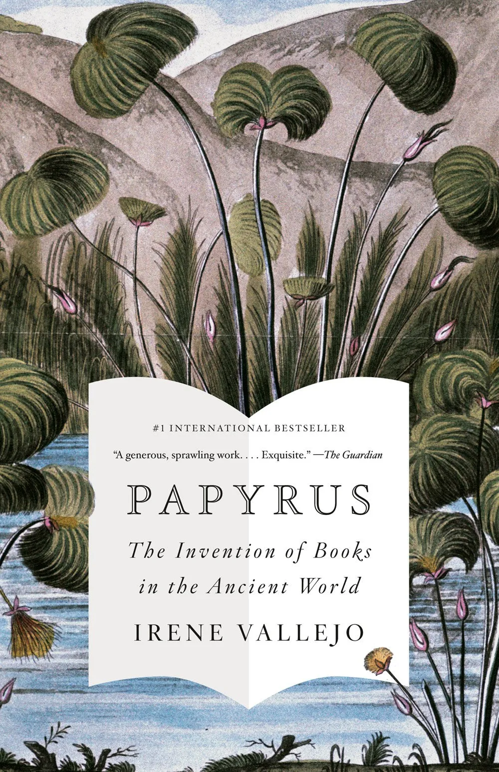Papyrus : The Invention of Books in the Ancient World Cleary's