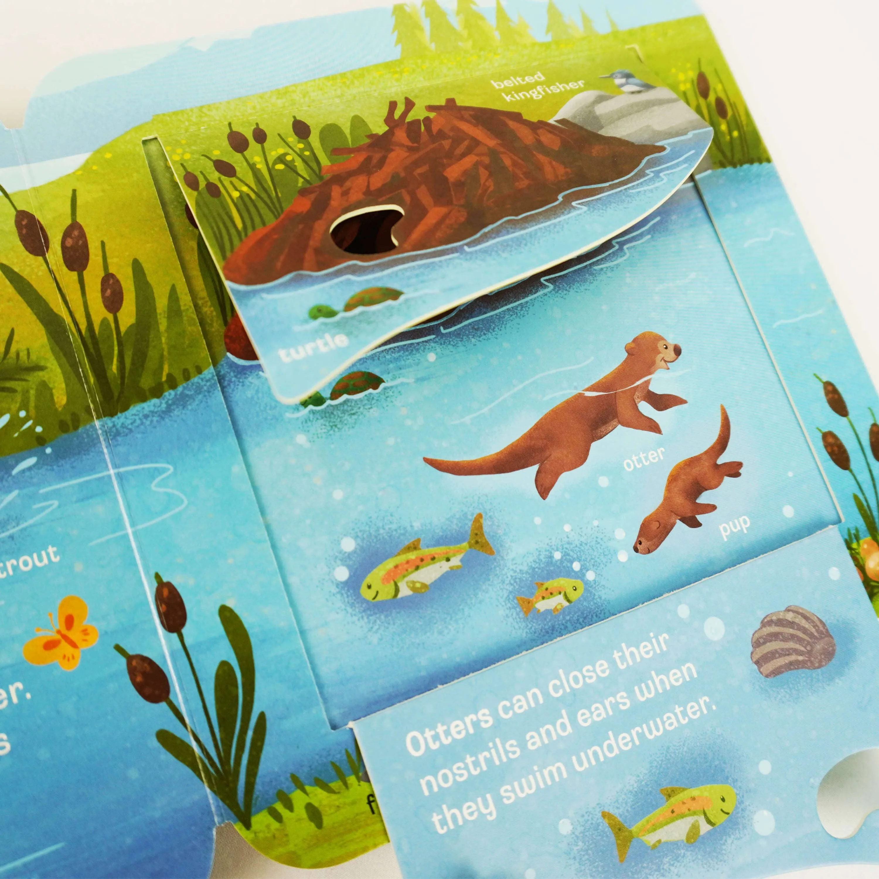 Peek a Boo Dig! Fun Children's Interactive Lift a Flap by Jaye Garnett 4 Books Collection Set - Ages 2  years - Board Book