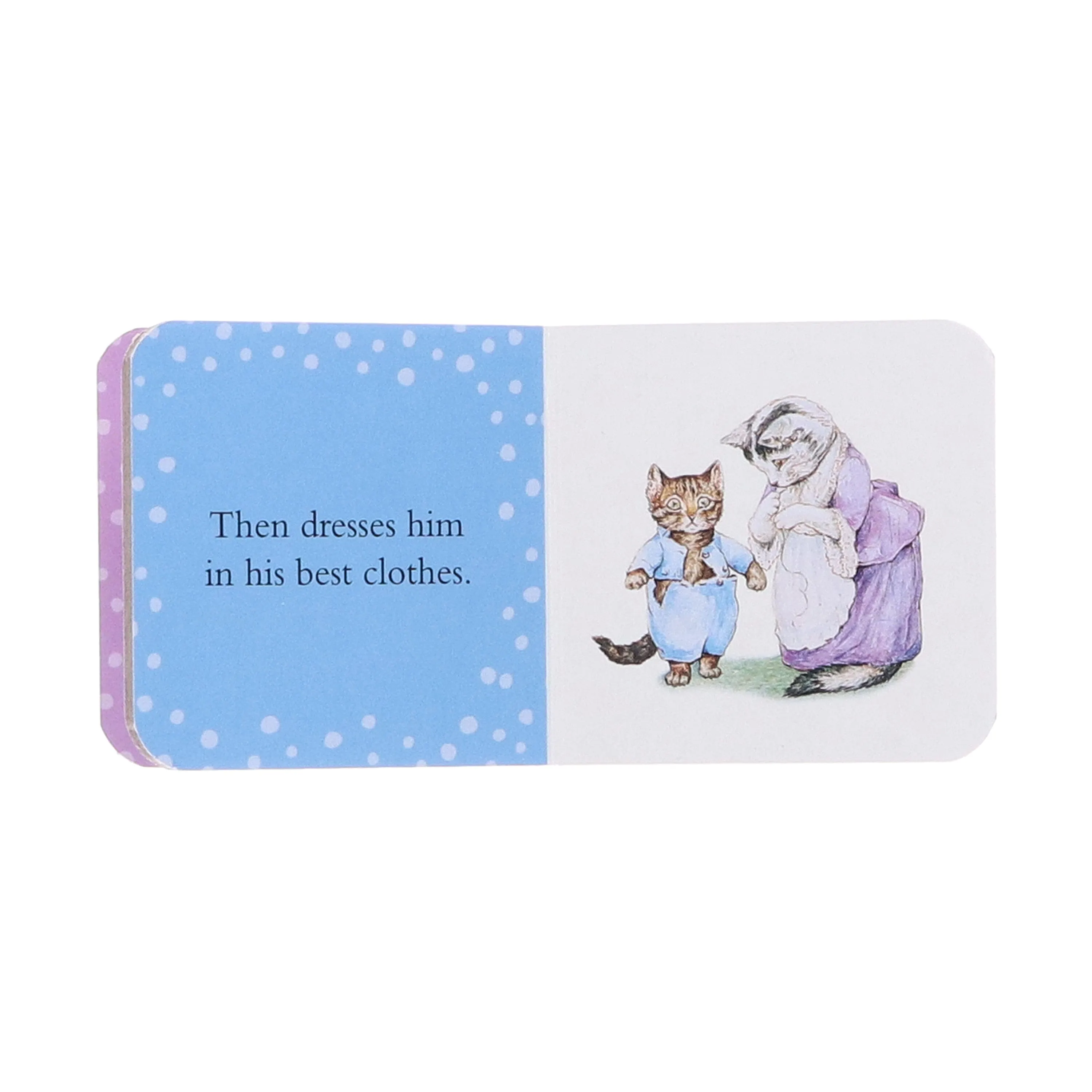 Peter Rabbit: A Big Box of Little Books By Beatrix Potter - Ages 0-3 - Board Books