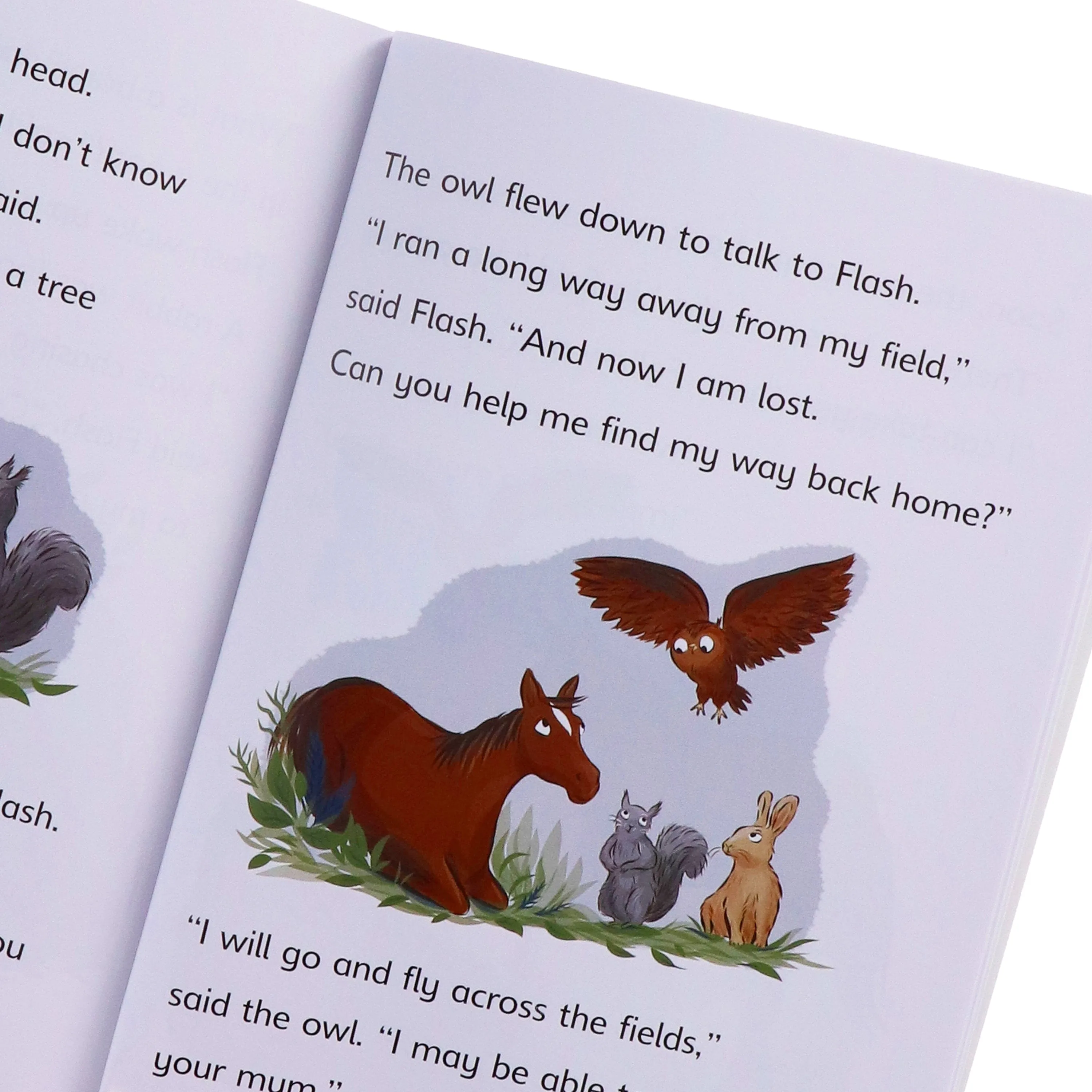Reading Champions Developing Readers 30 Book Collection Level 6 to 10 (Series 2) - Ages 5-7 - Paperback
