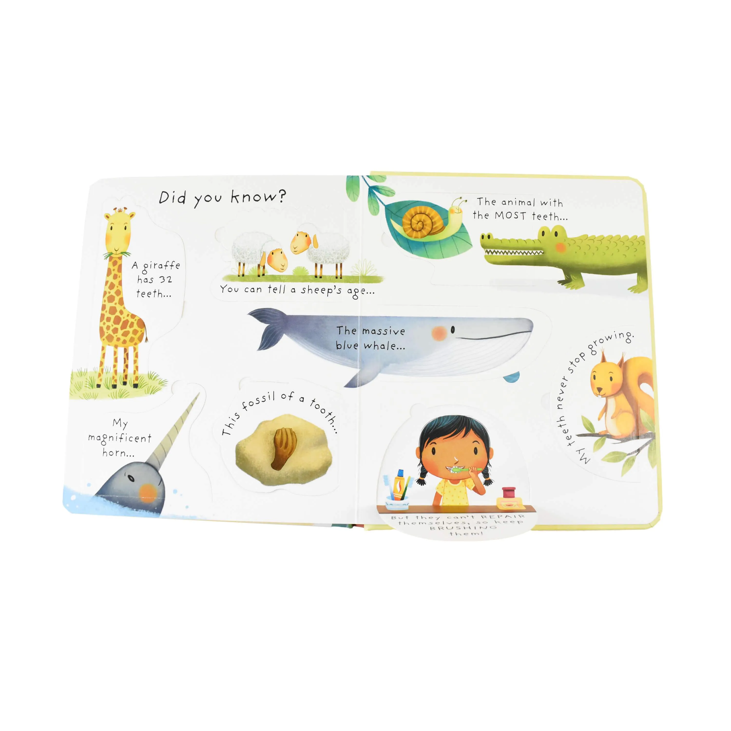 Usborne Very First Questions and Answers 4 Board Books Box by Katie Dayne - Ages 0-5 - Board Book