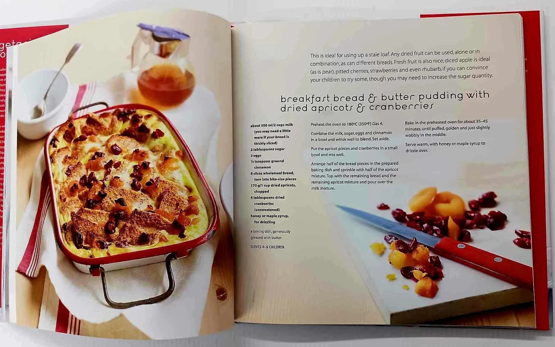 VEGETARIAN FOOD FOR KIDS - Laura Washburn