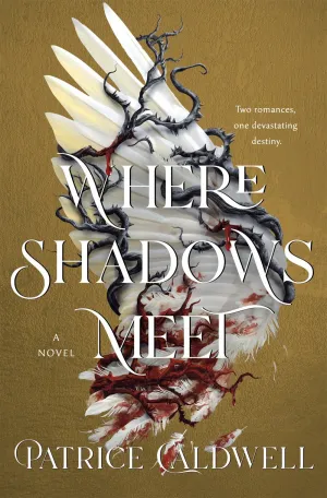 Where Shadows Meet : A Novel Cleary's