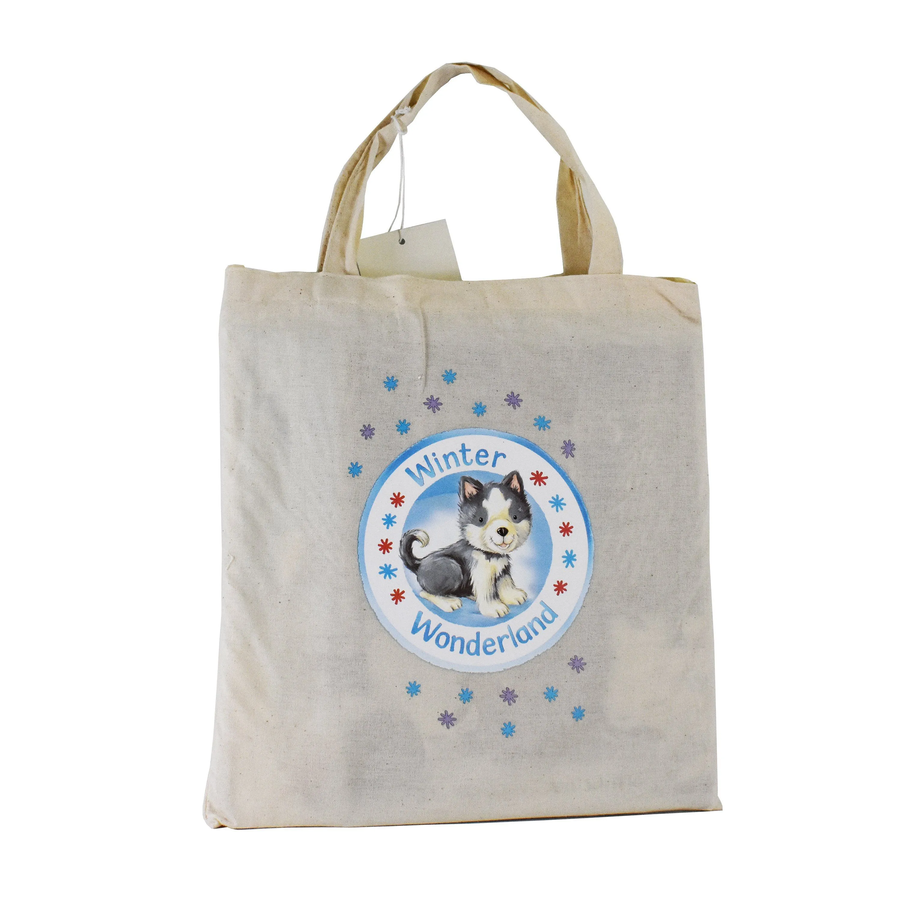 Winter Wonderland 10 Books in Bag - Age 3  - Paperback